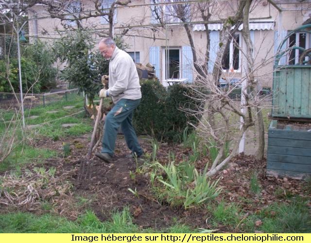 Lenseignement laugmentation du membre