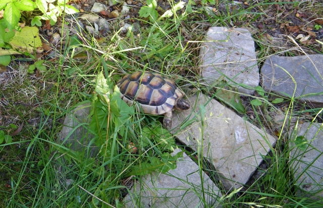 Avatar de l’utilisateur