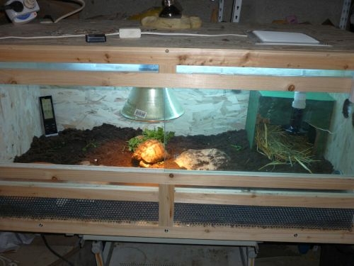 Terrarium Tortue Terrestre Occasion